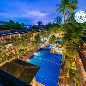 Montra Koh Tao